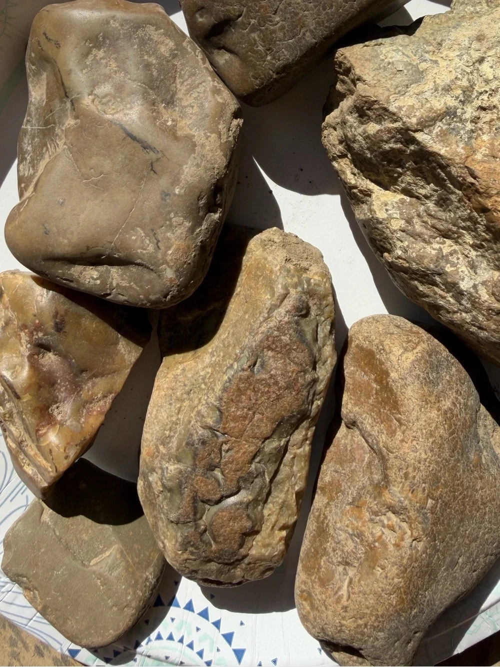 N/A collection jasper
